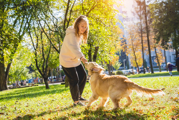 The owner plays the golden retriever dog in the park. - Fotó, kép