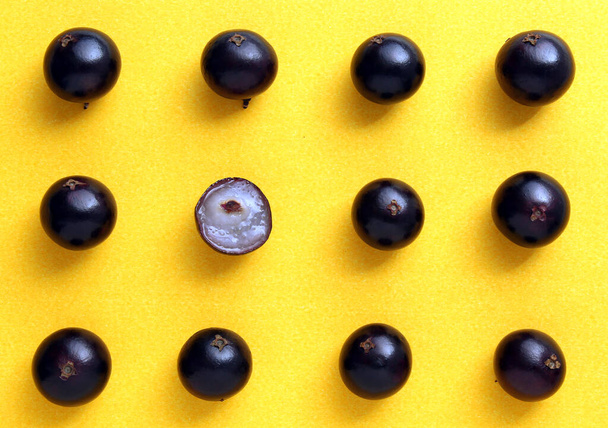 Patrón de fruta Jabuticaba sobre fondo amarillo - Foto, Imagen