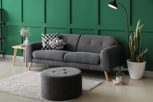 Comfortable pouf, sofa, floor lamp and houseplants near color wall - Photo, Image
