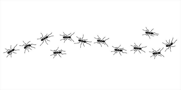Línea de sendero de hormigas obreras diseño plano vector ilustración aislado sobre fondo blanco. - Vector, imagen