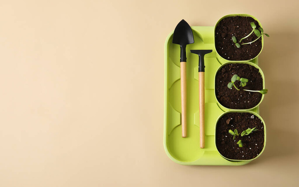 Pots de fleurs avec semis et outils de jardinage sur fond beige - Photo, image