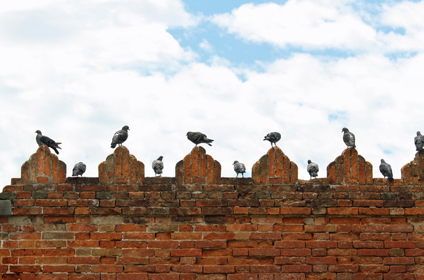 pigeons and doves on spires of castle wall - 写真・画像