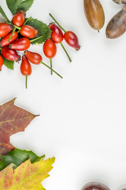 Abstract symbols of autumn laying on white background - Foto, Imagem