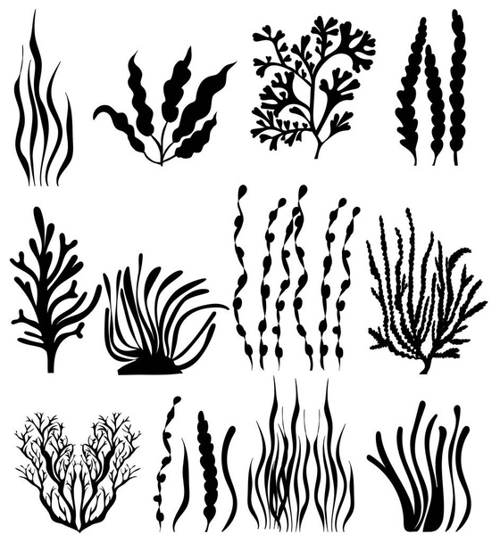 conjunto de coleta de algas silhueta, sobre fundo branco, vetor, isolado - Vetor, Imagem