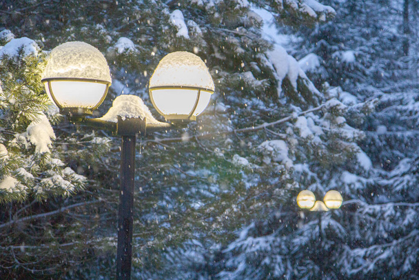 Street lamp in the snow, snowstorm, winter evening, light from a lantern under the snow - Fotografie, Obrázek