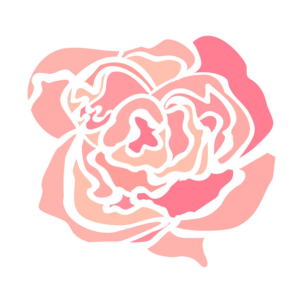 Ilustración flor rosa
 - Vector, imagen