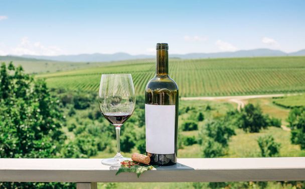 Vörösbor palack, szőlő szőlő, üveg és parafa szőlőültetvényen háttér - Fotó, kép