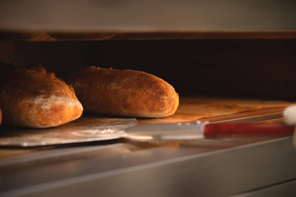 Close-up of a bakers shovel taking freshly baked artisan bread out of the oven. Bread production with copy space - Foto, Bild