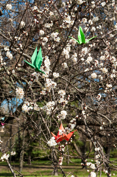 Aves de papel en el árbol en flor
. - Foto, imagen