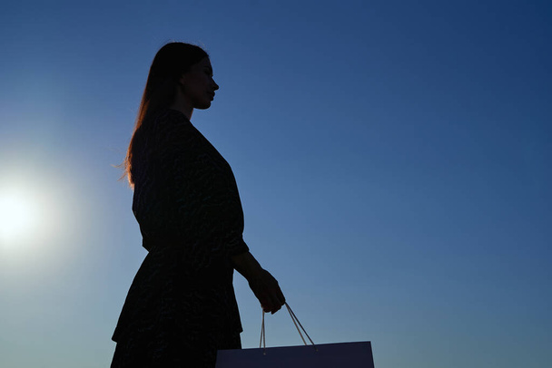 Lange haar vrouw silhouet met boodschappentas op zonnige dag - Foto, afbeelding