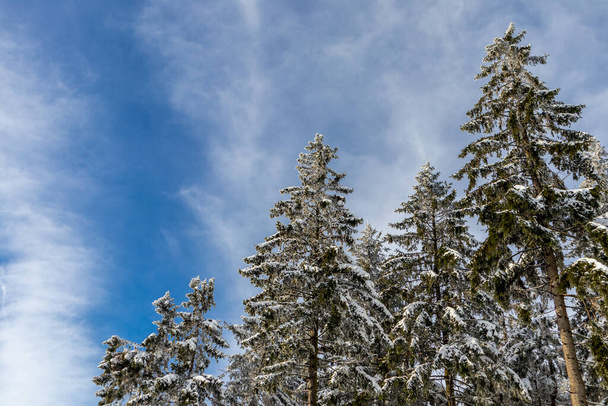 Очередная зимняя прогулка по самой красивой стране мира - Германии - Фото, изображение