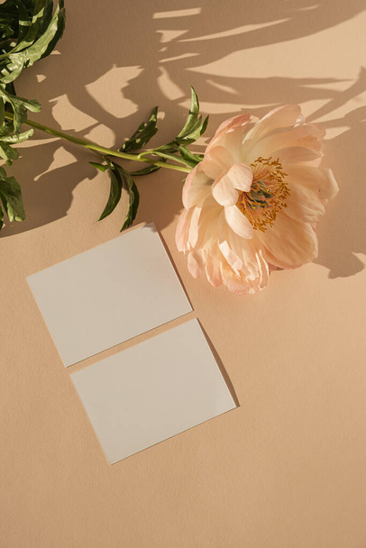 Tyhjä paperi kortti kopioi tilaa, pioni kukka auringonvalo varjot persikka tausta. Top view, tasainen lay minimalistinen esteettinen ylellisyyttä boheemi liiketoiminnan brändäys käsite - Valokuva, kuva