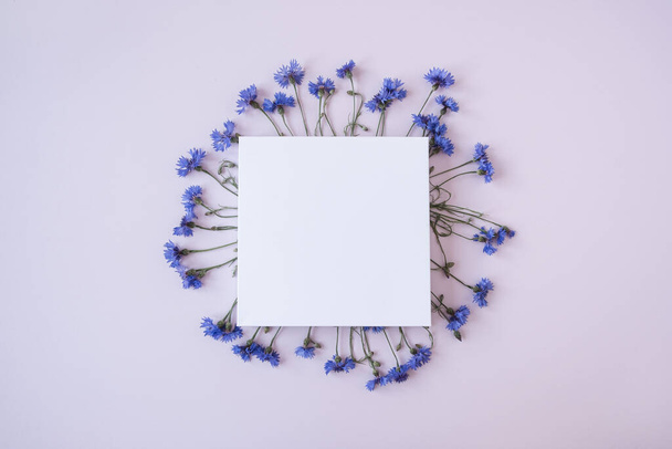 Ramka wykonana z niebieskich kwiatów kukurydzy na pastelowym różowym tle. Czysty kartka papieru z szablonem makiety miejsca kopiowania. Płaskie ułożenie, widok z góry - Zdjęcie, obraz