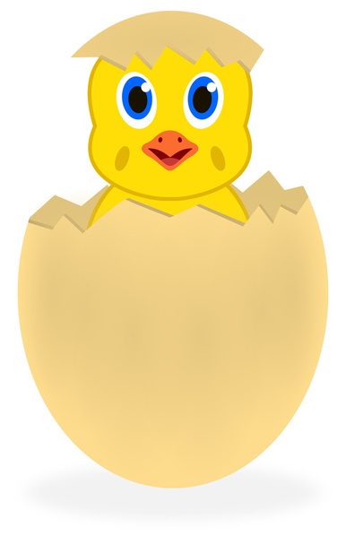 Uma galinha fora do ovo
 - Vetor, Imagem