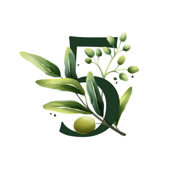 Logo numéro cinq avec aquarelle et branches d'olivier. Illustration de baies méditerranéennes, feuilles vertes, fleurs, bourgeons et branches.  - Vecteur, image