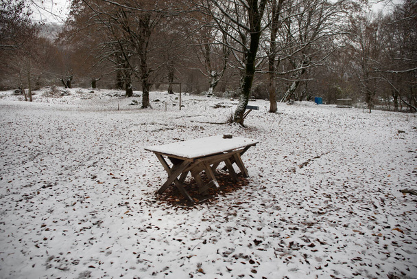 Starý dřevěný stůl pokrytý sněhem v zimním lese. Zasněžené pozadí. zimní přírodní koncept. - Fotografie, Obrázek