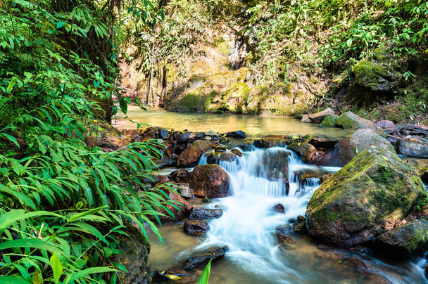 El Tirol waterfall in the jungle of Chanchamayo in Peru - Fotografie, Obrázek