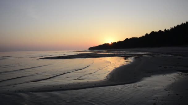 Сонце, що сходить над деревами на мокрій пляжній піску з вхідними хвилями
 - Кадри, відео