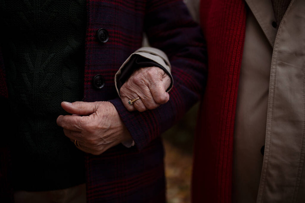 Close-up de mãos de casal sênior segurando quando em passeio ao ar livre na cidade no outono. - Foto, Imagem