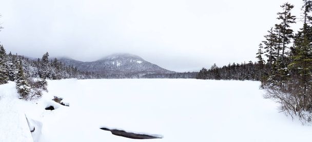Winter in the White Mountains, New Hampshire - Fotoğraf, Görsel