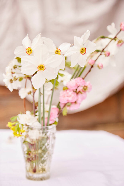 Jarní jemná váza s větvičkou meruňkového květu a narcisy. Dámský den, pozvání, Den matek, svatba, koncept narozeninového přání. Naturecore koncept. Estetický koncept chalupy. Kopírovat prostor - Fotografie, Obrázek