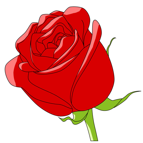 Vector art flower rose red - ベクター画像