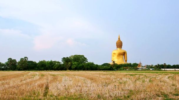 Самая большая статуя Будды храма Ват Муанга, провинция Анг Тонг, Таиланд - Фото, изображение