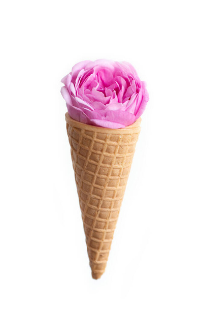 Ice cream waffle cone with pink fresh tea rose flower, isolated on white background. Diet and thinking outside the box design concept - Photo, image