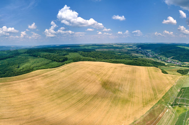 Aerial landscape view of yellow cultivated agricultural fields with ripe wheat and green woods on bright summer day - Фото, зображення