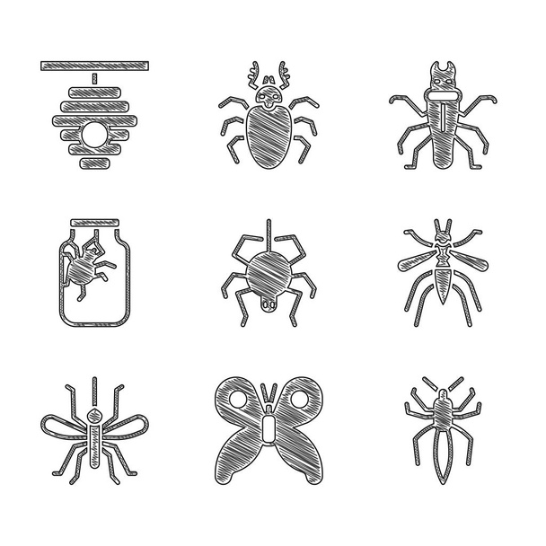 Set de araña, mariposa, mosquito, en tarro, termitas y colmena para las abejas icono. Vector - Vector, imagen