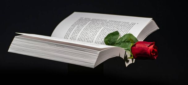 Egy vörös rózsát használtak könyvjelzőnek, hogy emlékeztessenek egy fejezetre az életünkben, ahol megtapasztaltuk a szerelmet. - Fotó, kép