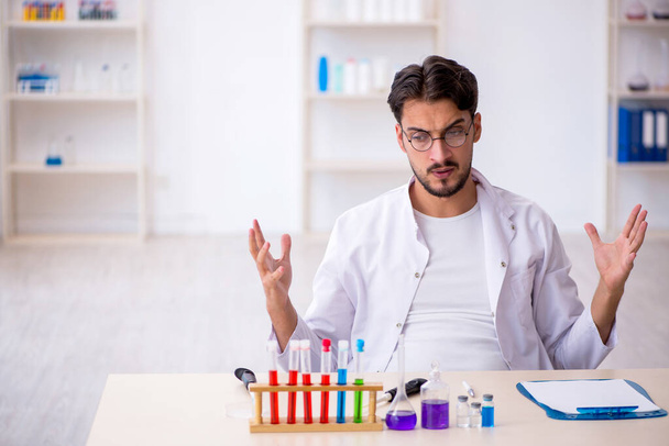 Jonge mannelijke chemicus werkt in het lab - Foto, afbeelding
