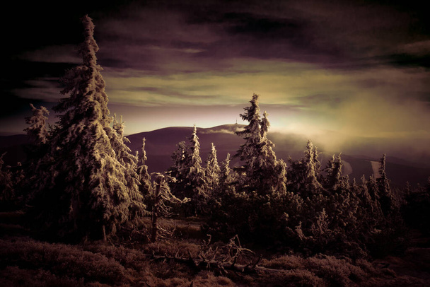 Paisaje escénico de montaña con árboles cubiertos de rimas. Jeseniky.República Checa. - Foto, imagen