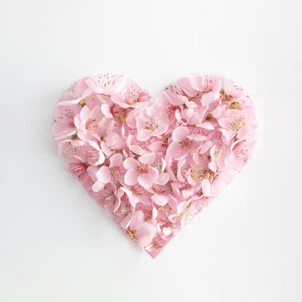 Hartvorm gemaakt met roze natuurlijke lentebloemen. Liefde of Moederdag minimaal concept. Valentijnsdag of 8 maart idee. Plat gelegd. Kopieerruimte. - Foto, afbeelding