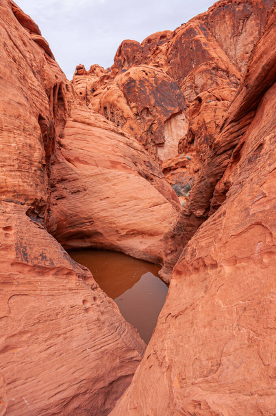 Overton, Nevada, USA - February 24, 2010: Valley of Fire. Closeup of water trapped in small pool between cracked, lined, and blackened red rock flanks on all sides under gray sky. - Photo, Image