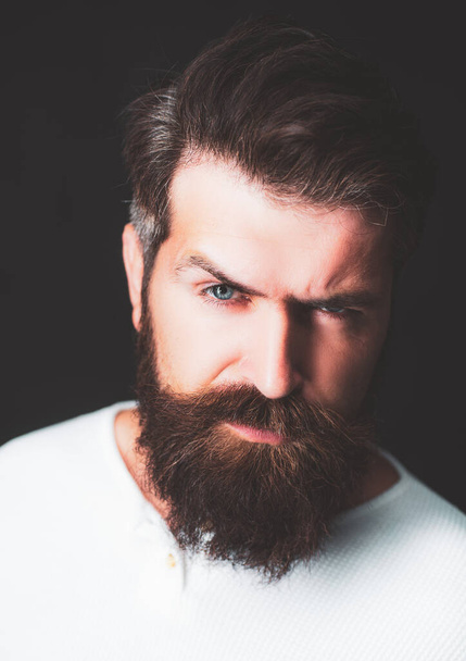 Close-up face of bearded man on black background - professional studio light. Portrait of adult man of Caucasian appearance isolated on black background. - Photo, image
