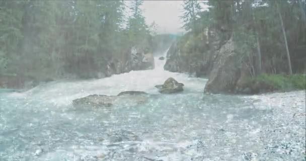 大雨は熱帯雨林の強い流れの滝に陥る - 映像、動画