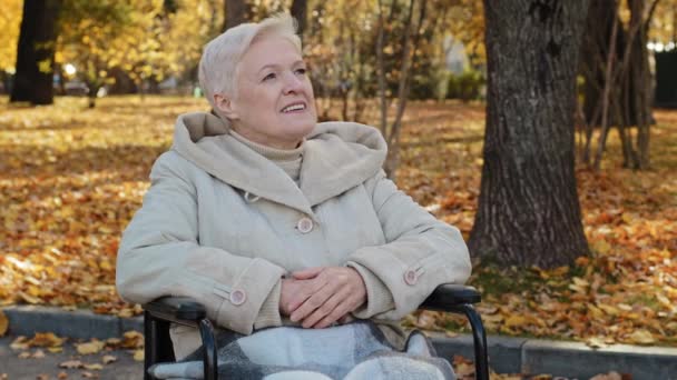felice anziano nonna sedersi in sedia a rotelle guarda in autunno parco adulto donna in pensione riposo all'aperto persona con disabilità sorridente godendo di bel tempo salute mentale anziani con esigenze speciali - Filmati, video