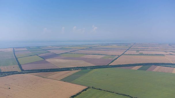 Пшеничне поле влітку біля моря після збору врожаю. Вид з повітря
. - Фото, зображення