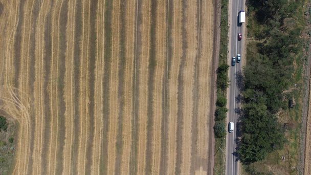 Campo de trigo no verão junto ao mar após a colheita. Vista aérea. - Foto, Imagem