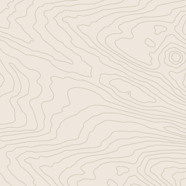 Wooden wavy pattern. Tree fiber, wood grain texture. Dense lines. Abstract topographic background. Vector illustration - Vector, Image