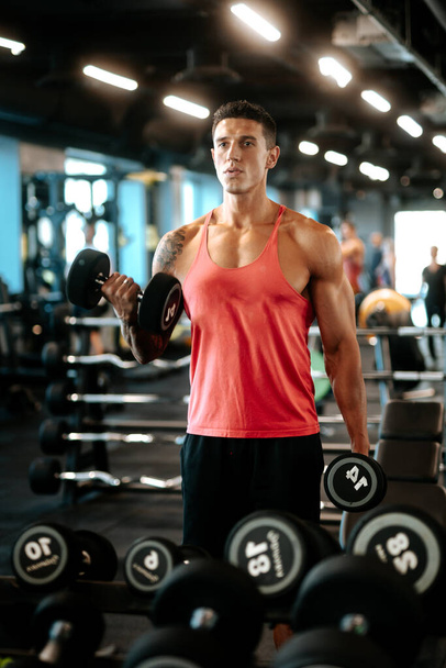 Portrait of smiling muscular athletic man working out and posing while lifting weights at gym. Athlete and professional certified trainer training with weights at gym.  - Photo, image