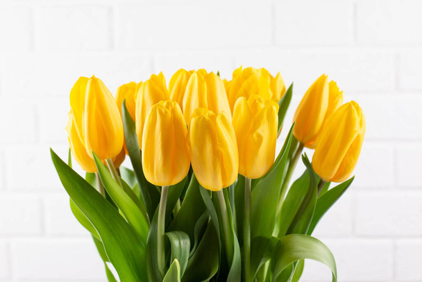 Gelbe Tulpen blühen auf weißem Hintergrund. Valentinstag, Muttertag und Geburtstagsfeier. - Foto, Bild