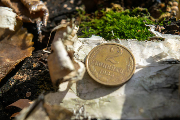Staré mince v lese na kusu březové kůry ležící na zeleném mechu - Fotografie, Obrázek