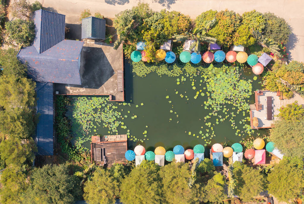 Вид сверху с воздуха на цветы лотоса в пруду, море или озеро в национальном парке в бассейне на отдых, концепция отдыха. Природный пейзаж. Путешествия - Фото, изображение