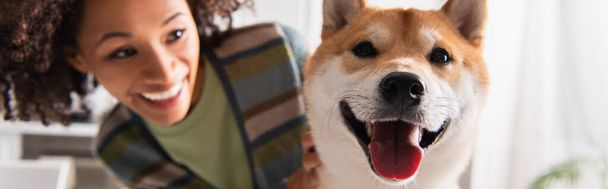 close up view of shiba inu dog sticking out tongue near blurred african american woman, banner - Photo, Image