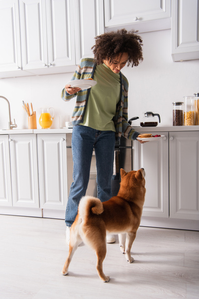 Африканская американка держит тарелки с вкусными блинчиками рядом с шиба ину собака на кухне - Фото, изображение