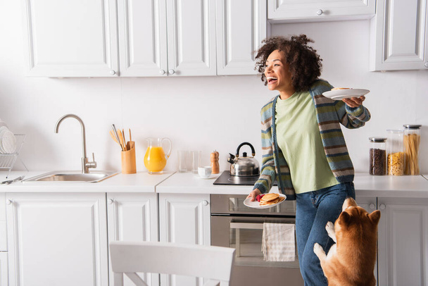 laughing african american woman holding breakfast near shiba inu dog in kitchen - Foto, Imagem