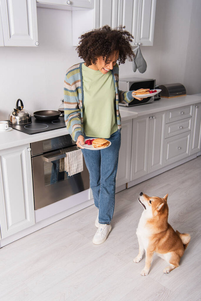 cheerful african american woman holding pancakes with raspberries near funny shiba inu dog - Foto, Imagem