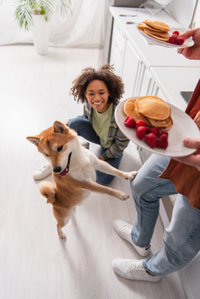 funny shiba inu dog standing on hind legs near man with pancakes and cheerful african american woman - Photo, Image